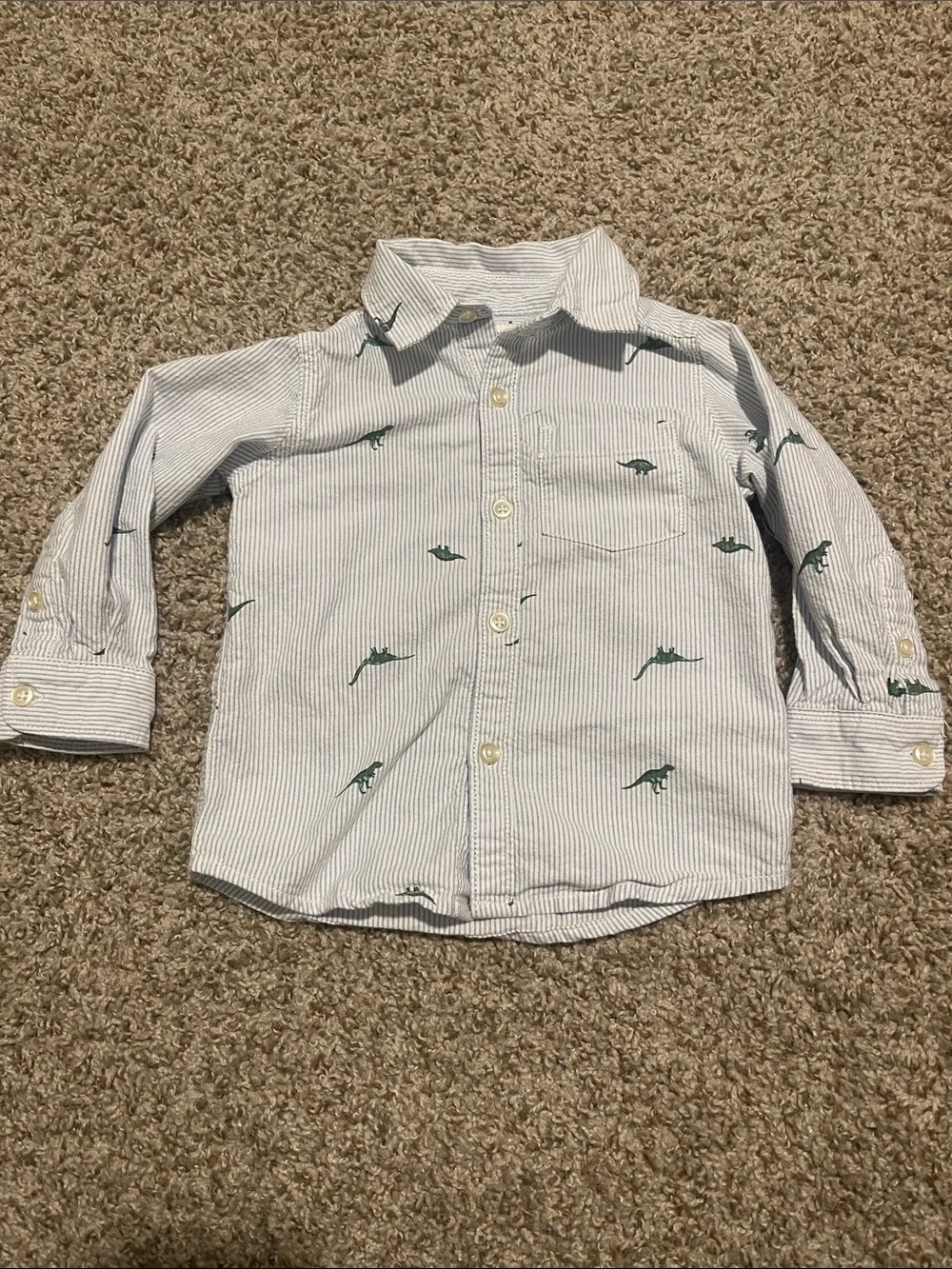 Carter’s dinosaur button down